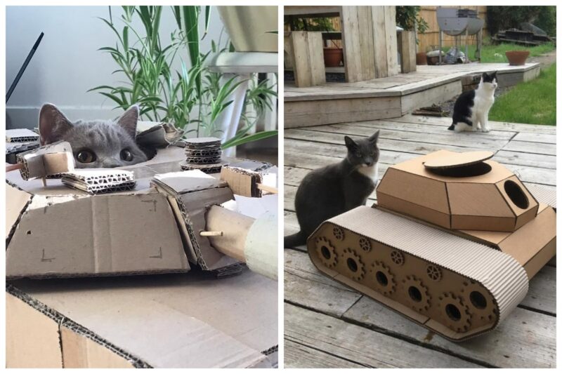 Фотография: 25 забавных фото котов в картонных танках, которые захватили соцсети №1 - BigPicture.ru