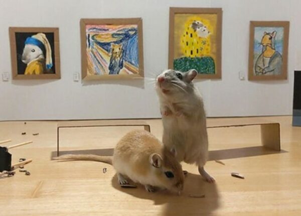 Зачем в Лондоне открыли крошечную арт-галерею для мышей-песчанок