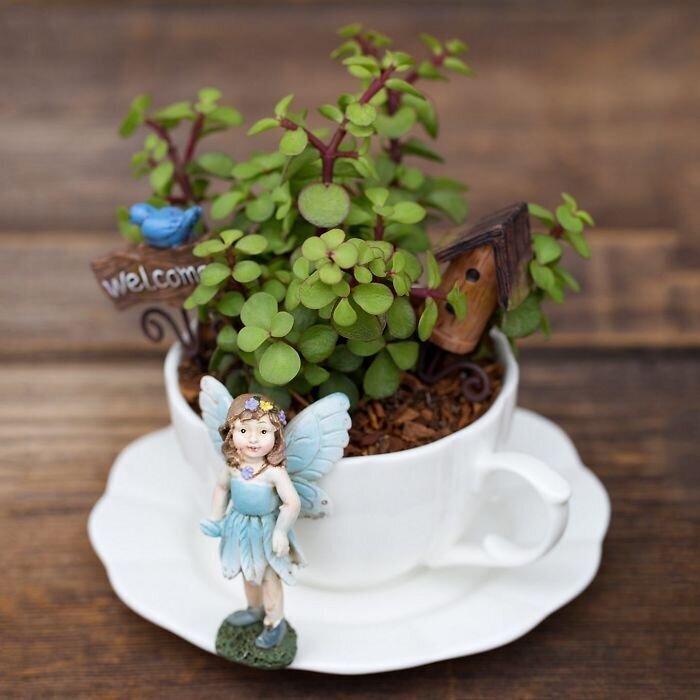Фотография: Как сделать сад в чайной чашке: 25 креативных идей №17 - BigPicture.ru