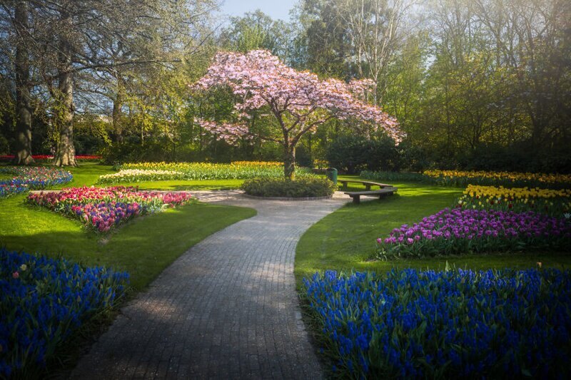 Фотография: Как выглядит самый красивый парк тюльпанов Кёкенхоф без единого посетителя №23 - BigPicture.ru