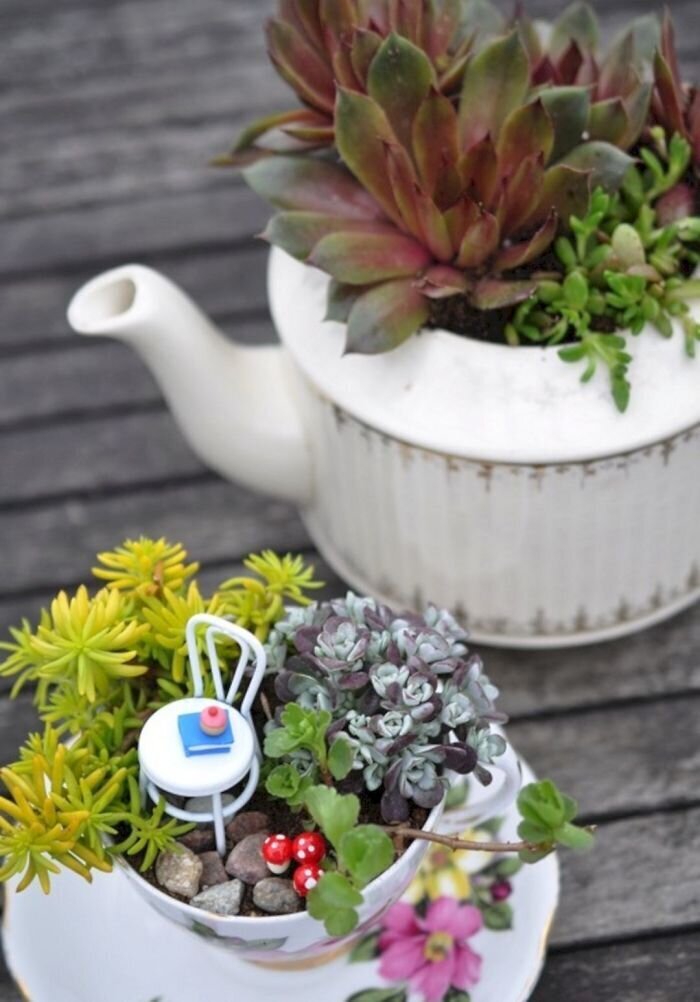 Фотография: Как сделать сад в чайной чашке: 25 креативных идей №10 - BigPicture.ru