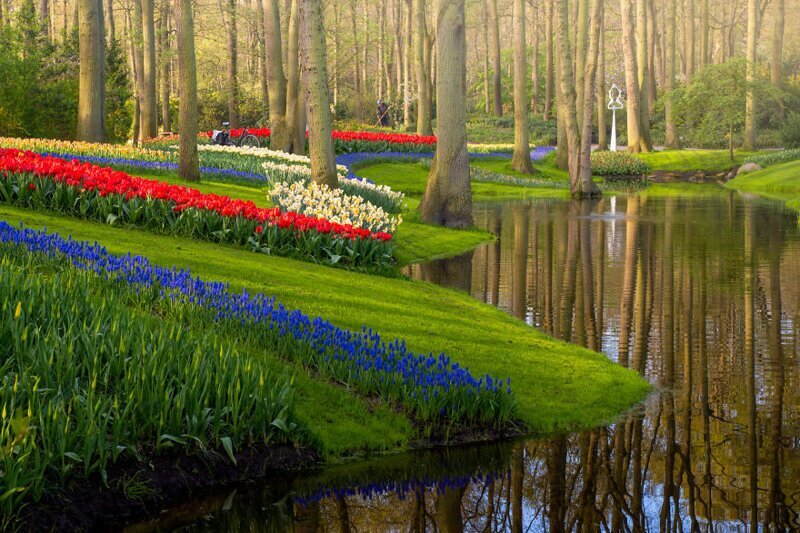 Фотография: Как выглядит самый красивый парк тюльпанов Кёкенхоф без единого посетителя №10 - BigPicture.ru