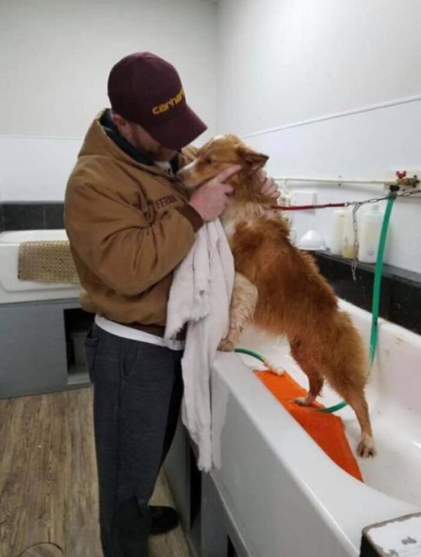Фотография: Собака, спасшая семью во время торнадо, вернулась домой через два месяца №6 - BigPicture.ru