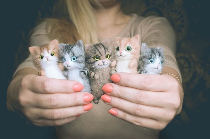 Фотография: Милые котята из войлока от рукодельницы Елизаветы Делекторской №1 - BigPicture.ru