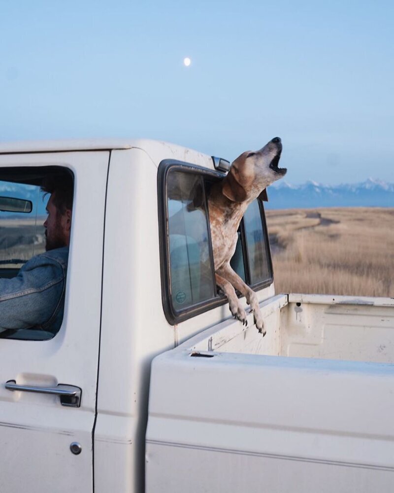 Фотография: Как путешествуют фотограф Терон Хамфри и его собака Мэдди №5 - BigPicture.ru
