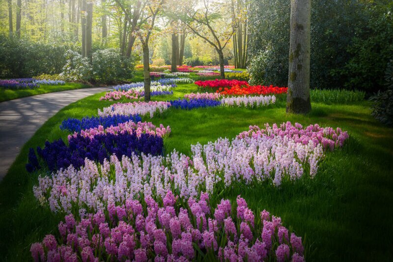 Фотография: Как выглядит самый красивый парк тюльпанов Кёкенхоф без единого посетителя №28 - BigPicture.ru