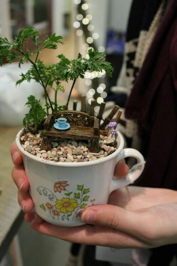 Фотография: Как сделать сад в чайной чашке: 25 креативных идей №9 - BigPicture.ru