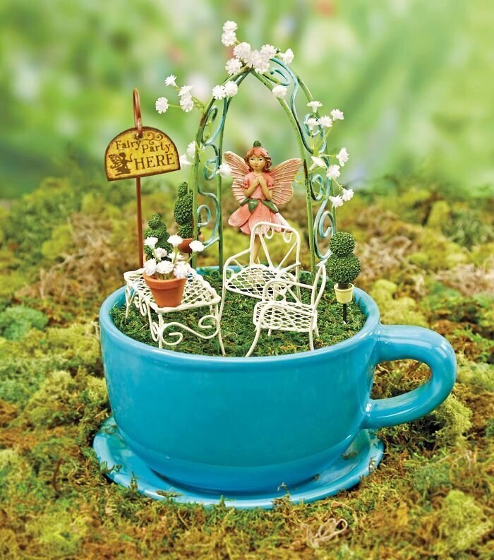Фотография: Как сделать сад в чайной чашке: 25 креативных идей №5 - BigPicture.ru