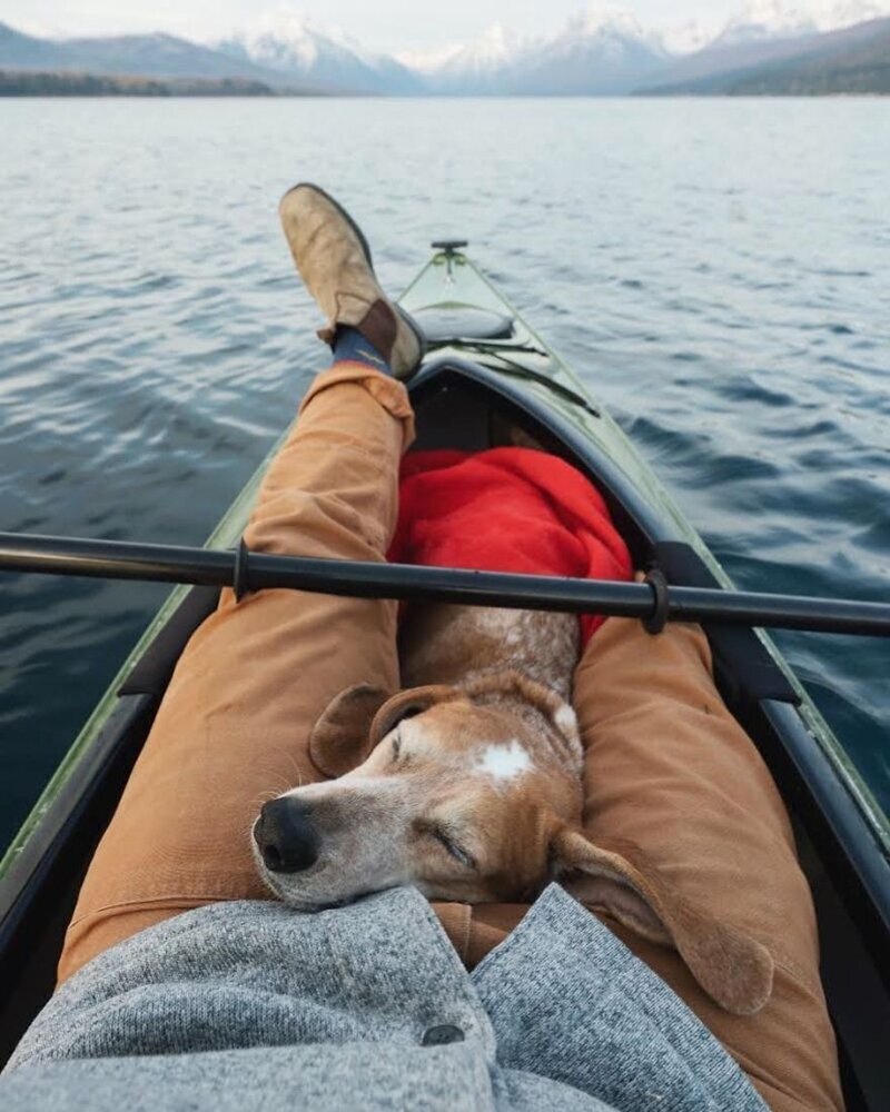 Фотография: Как путешествуют фотограф Терон Хамфри и его собака Мэдди №7 - BigPicture.ru