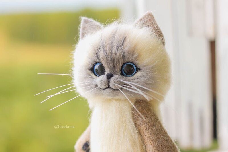 Фотография: Милые котята из войлока от рукодельницы Елизаветы Делекторской №34 - BigPicture.ru