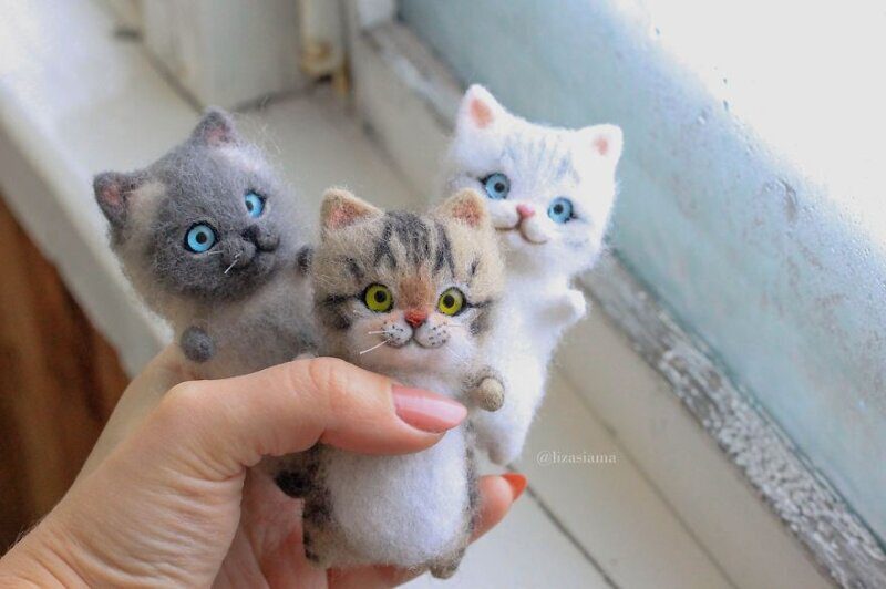 Фотография: Милые котята из войлока от рукодельницы Елизаветы Делекторской №16 - BigPicture.ru