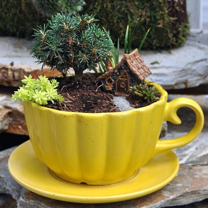 Фотография: Как сделать сад в чайной чашке: 25 креативных идей №14 - BigPicture.ru