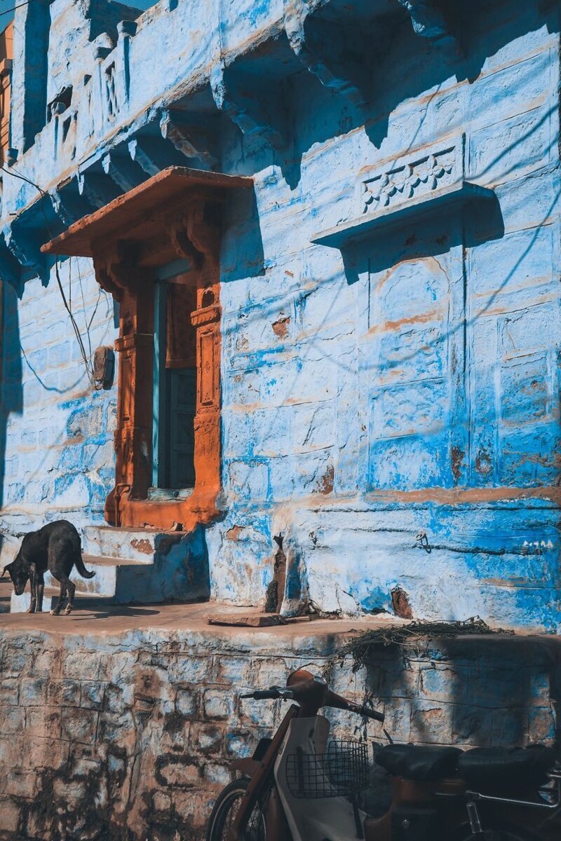 Фотография: Лазурный Джодхпур — сказочный город в Индии №23 - BigPicture.ru