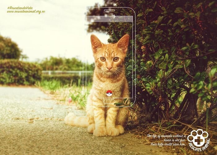 Фотография: 33 примера самой креативной и забавной рекламы с котиками №16 - BigPicture.ru