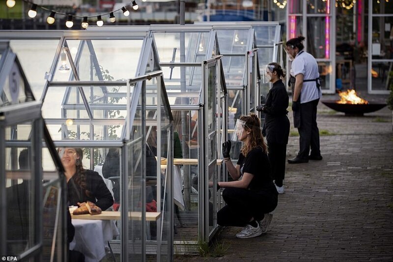 Фотография: Голландский ресторан посадил посетителей поужинать в теплицах №5 - BigPicture.ru