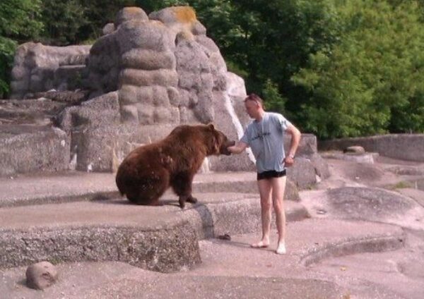 В варшавском зоопарке пьяный мужчина пытался утопить медведя