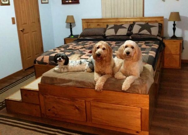 Как выглядит специальная кровать со спальным местом для домашних животных