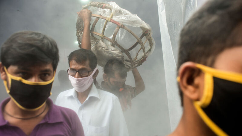 Фотография: Как Индия победила коронавирус коровьим навозом, фильмами Болливуда и 