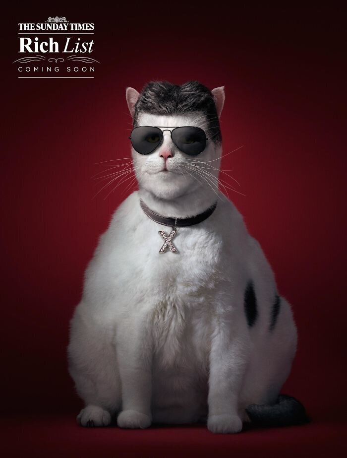Фотография: 33 примера самой креативной и забавной рекламы с котиками №27 - BigPicture.ru