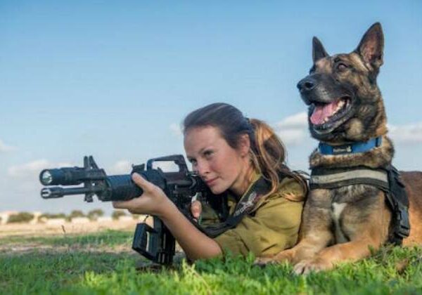 Что такое «Окец», или Как собаки служат в израильской армии
