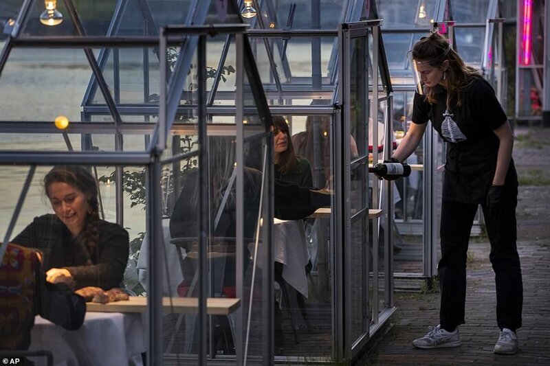 Фотография: Голландский ресторан посадил посетителей поужинать в теплицах №3 - BigPicture.ru