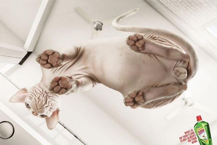 Фотография: 33 примера самой креативной и забавной рекламы с котиками №18 - BigPicture.ru