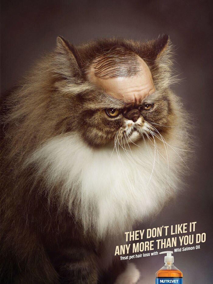 Фотография: 33 примера самой креативной и забавной рекламы с котиками №23 - BigPicture.ru