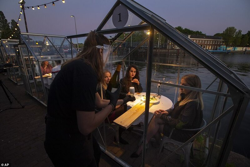 Фотография: Голландский ресторан посадил посетителей поужинать в теплицах №7 - BigPicture.ru