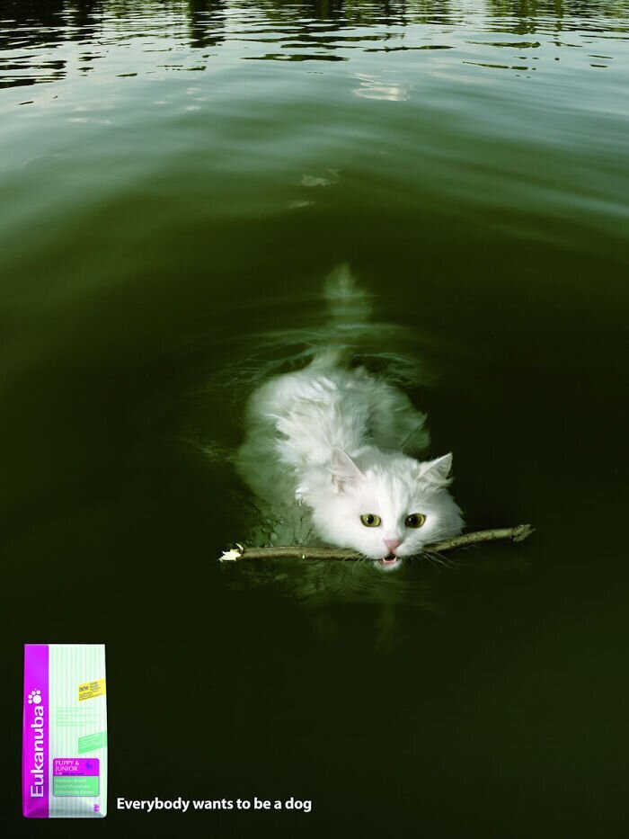 Фотография: 33 примера самой креативной и забавной рекламы с котиками №21 - BigPicture.ru