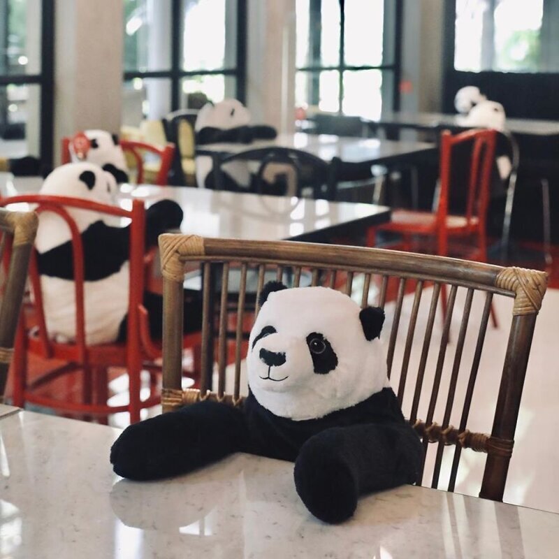 Фотография: В ресторане Бангкока панды помогают людям соблюдать дистанцию №5 - BigPicture.ru