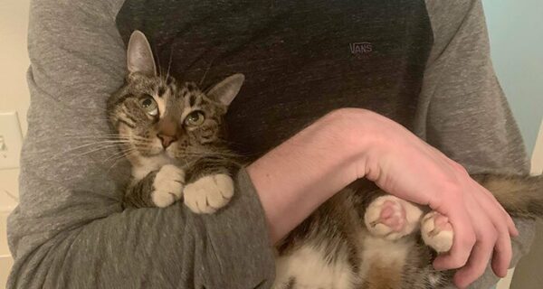 40 собак и кошек, в глазах которых светятся любовь и обожание