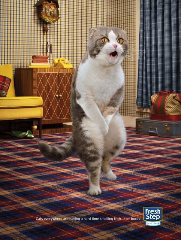 Фотография: 33 примера самой креативной и забавной рекламы с котиками №9 - BigPicture.ru