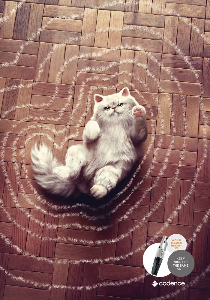 Фотография: 33 примера самой креативной и забавной рекламы с котиками №14 - BigPicture.ru