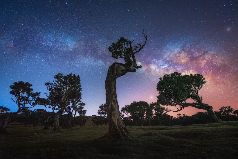 Фотография: 15 живописных фото мистического леса на острова Мадейра №7 - BigPicture.ru
