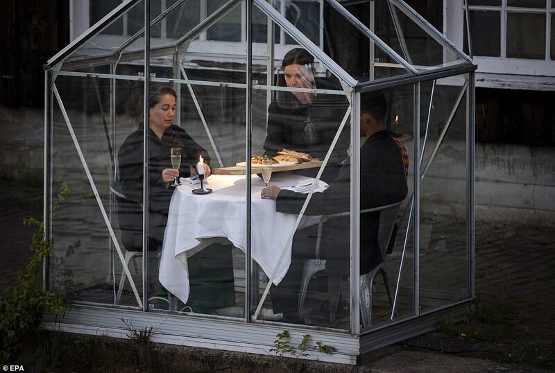 Фотография: Голландский ресторан посадил посетителей поужинать в теплицах №9 - BigPicture.ru