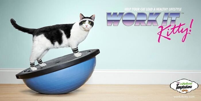 Фотография: 33 примера самой креативной и забавной рекламы с котиками №31 - BigPicture.ru