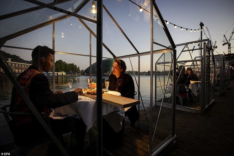 Фотография: Голландский ресторан посадил посетителей поужинать в теплицах №8 - BigPicture.ru