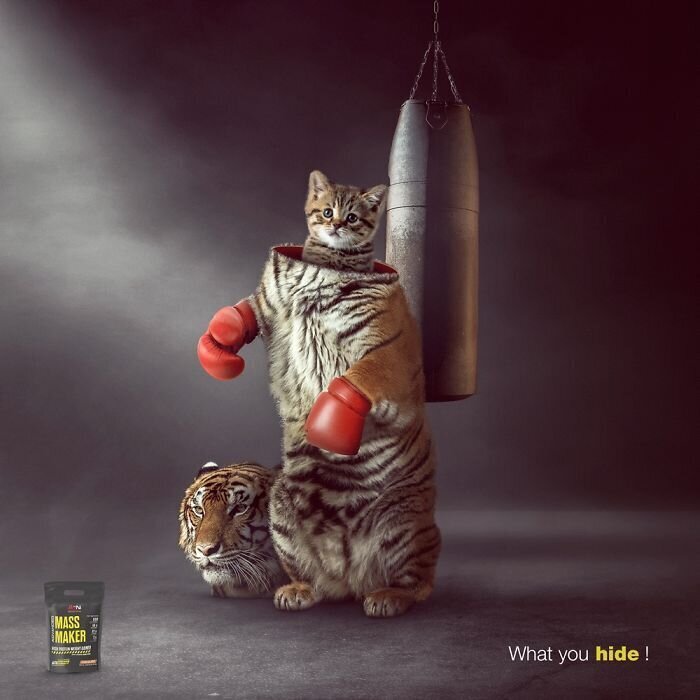 Фотография: 33 примера самой креативной и забавной рекламы с котиками №4 - BigPicture.ru