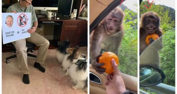 20 супер-мимимишных фотографий, которые вызовут у вас восторг