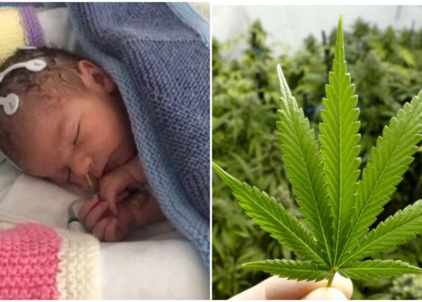 Малыша из Великобритании вылечили от врожденной болезни препаратом на основе марихуаны