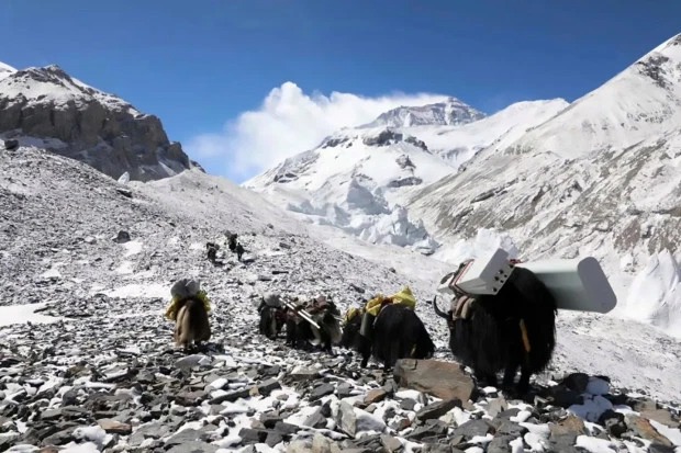 Фотография: Вершина технологий: на Эвересте с помощью яков установили вышку 5G №1 - BigPicture.ru
