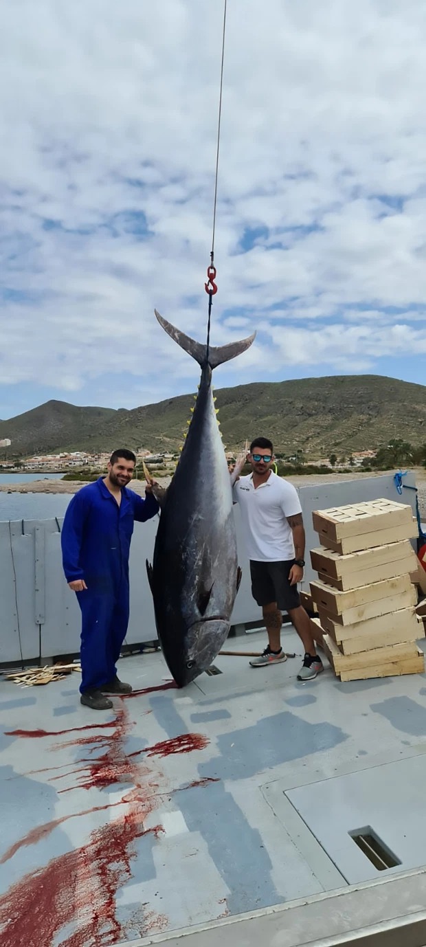 Фотография: Испанские рыбаки поймали тунца-чемпиона №3 - BigPicture.ru