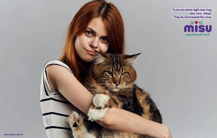 Фотография: 33 примера самой креативной и забавной рекламы с котиками №8 - BigPicture.ru