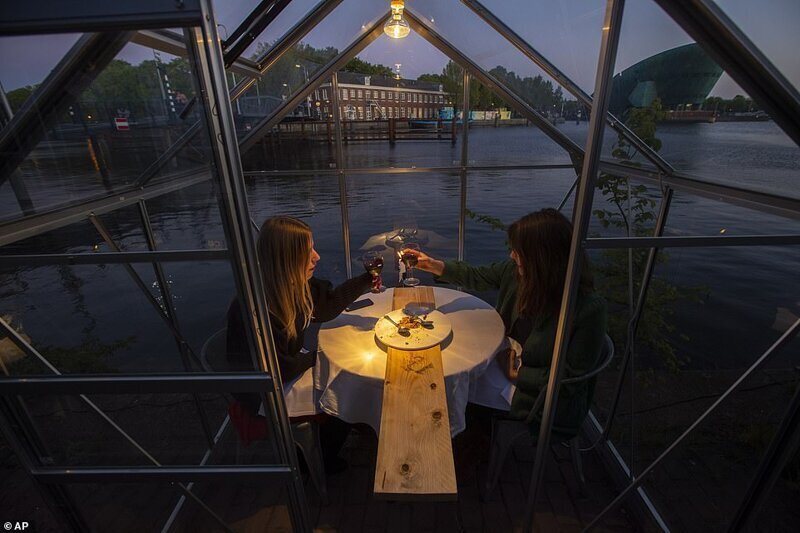 Фотография: Голландский ресторан посадил посетителей поужинать в теплицах №6 - BigPicture.ru