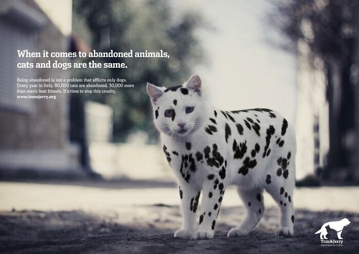 Фотография: 33 примера самой креативной и забавной рекламы с котиками №20 - BigPicture.ru