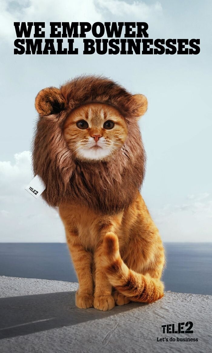 Фотография: 33 примера самой креативной и забавной рекламы с котиками №19 - BigPicture.ru
