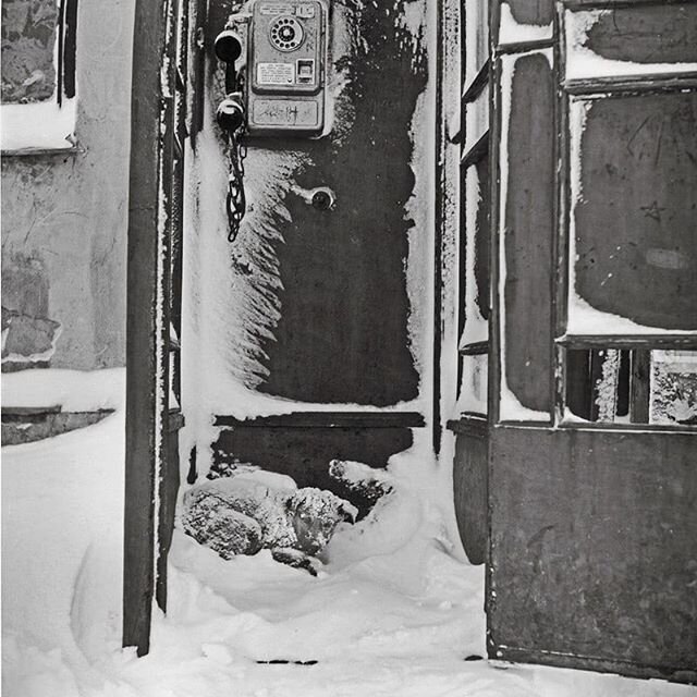 Фотография: Парень из Риги вдыхает жизнь в старые советские фото, заставляя их двигаться №4 - BigPicture.ru