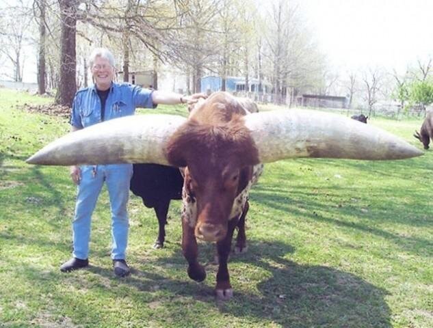 Фотография: 20 гигантских размеров природных объектов, которые вас шокируют №2 - BigPicture.ru
