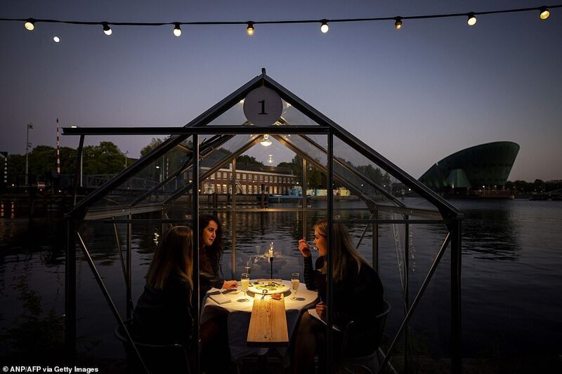 Фотография: Голландский ресторан посадил посетителей поужинать в теплицах №10 - BigPicture.ru