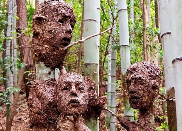 Студент из Японии создал жутковатый, но красивый Лес Отчаяния